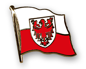 Ansteck-PinbrSdtirol