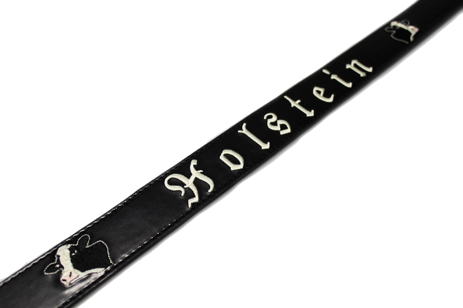 Bild 1 von Wunsch-Ledergürtel  / (Länge) 120 cm / (Farbe) schwarz glänzend / (Namensstick) nein